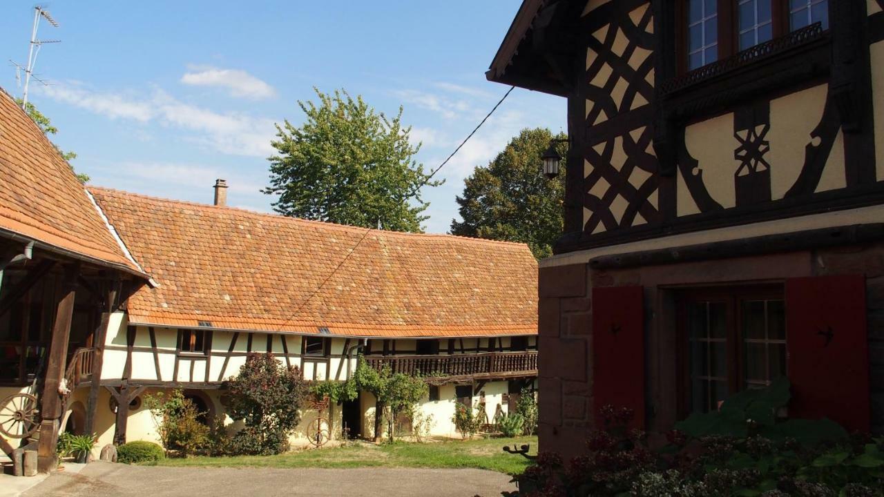 Le Gite Des Ecureuils Schalkendorf Dış mekan fotoğraf