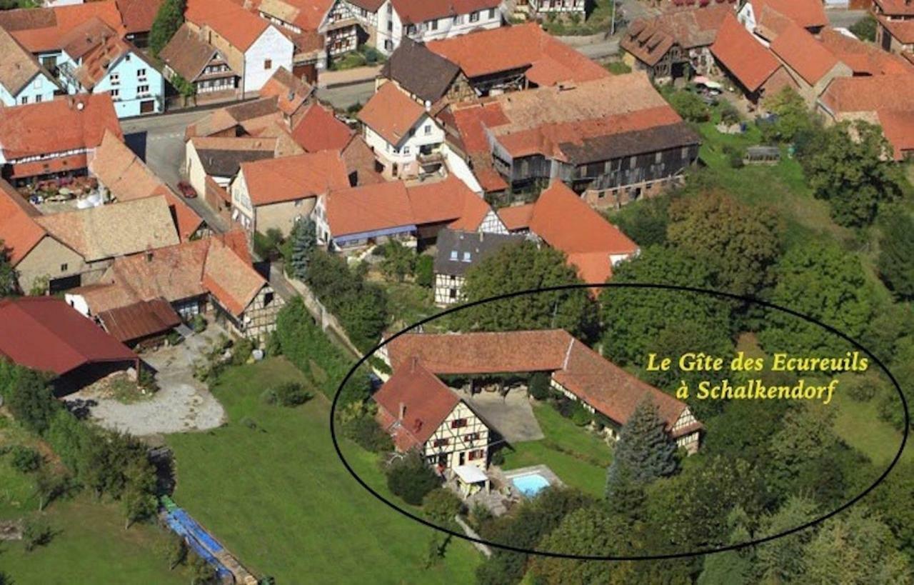 Le Gite Des Ecureuils Schalkendorf Dış mekan fotoğraf